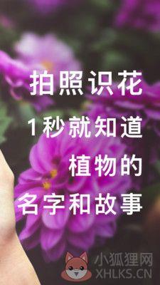 形色识花