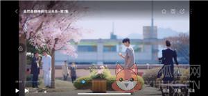 悠悠鸟影视