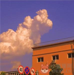 醒图app
