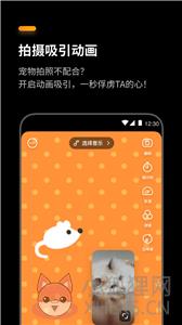萌卡