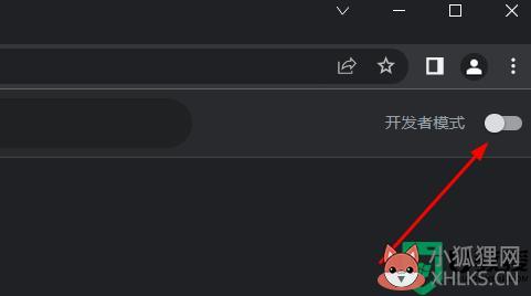 谷歌访问助手怎么用_谷歌访问助手使用教程