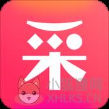 采源宝 采源宝