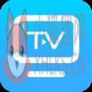 tv投屏助手电视端 tv投屏助手电视端