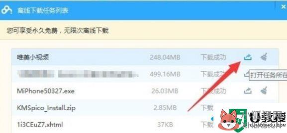 迅雷种子无法解析怎么办_迅雷无法解析种子文件处理方法
