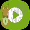 Phim