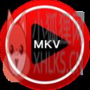 MKV文件播放