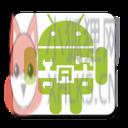 Developer Developer