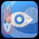 GV-Eye
