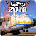 飞翔之翼2018
