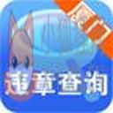 厦门违章查询