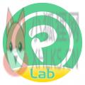 碰星Lab 碰星Lab
