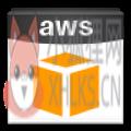 AWS AWS