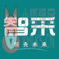 领先智采