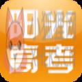 阳光高考网app