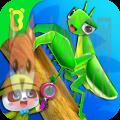 insect