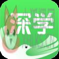 深学 深学