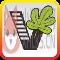 51自学网app