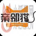 亲邻猫