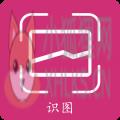 拍照识物 拍照识物