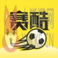 赛酷体育 赛酷体育