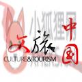 文旅中国中传云下载