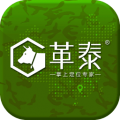 革泰 革泰