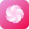芙蓉 芙蓉