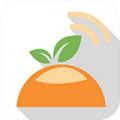 开平橙子网app 开平橙子网app