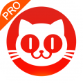 猫眼专业版实时数据 猫眼专业版实时数据