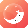 泡泡网app 泡泡网app