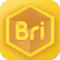 Bricube学生 Bricube学生