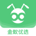 禾木 禾木