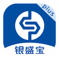 银盛宝Plus 银盛宝Plus