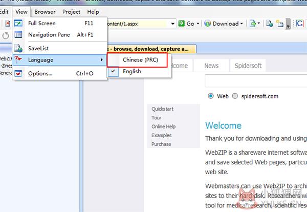 WebZIP