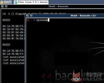 Backtrack4(BT4最新软件)
