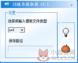 IE缓存提取器 V2.1 绿色版