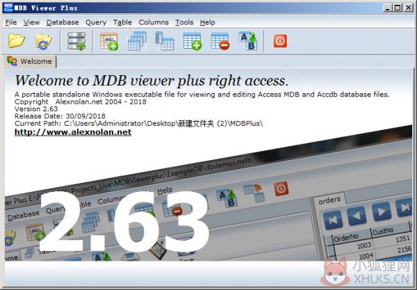 MDB Viewer Plus(mdb文件查看编辑工具) V2.63 汉化版