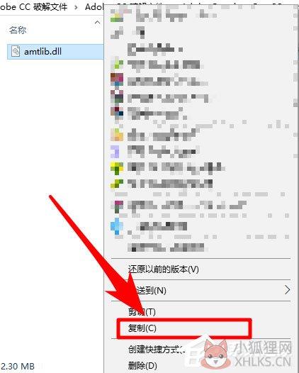 Amtlib.dll文件