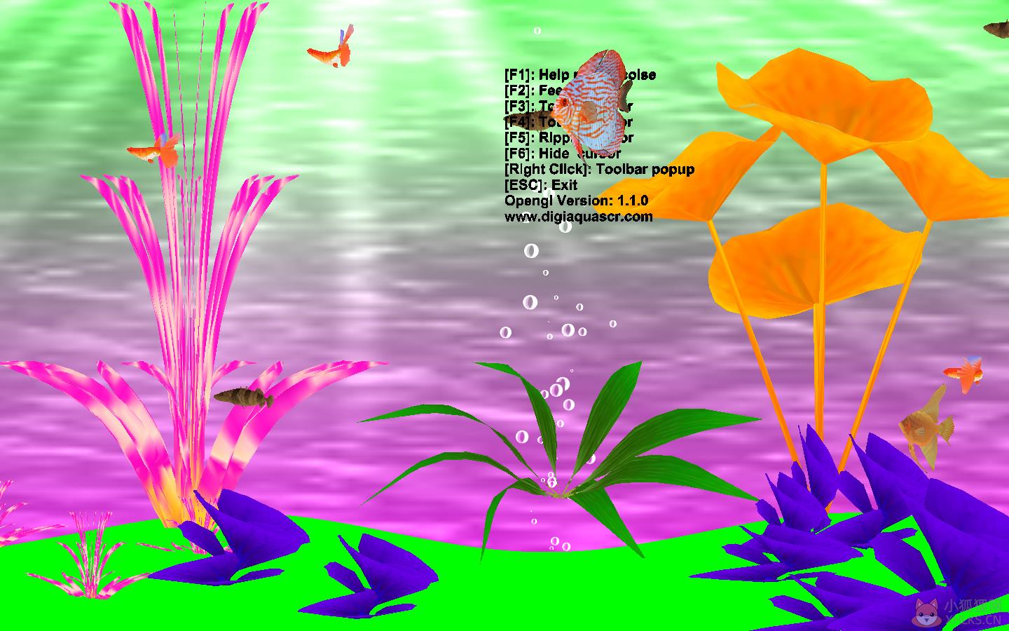 Dream Aquarium(梦幻水族馆屏保) V1.4 英文版 Dream Aquarium(梦幻水族馆屏保) V1.4 英文版