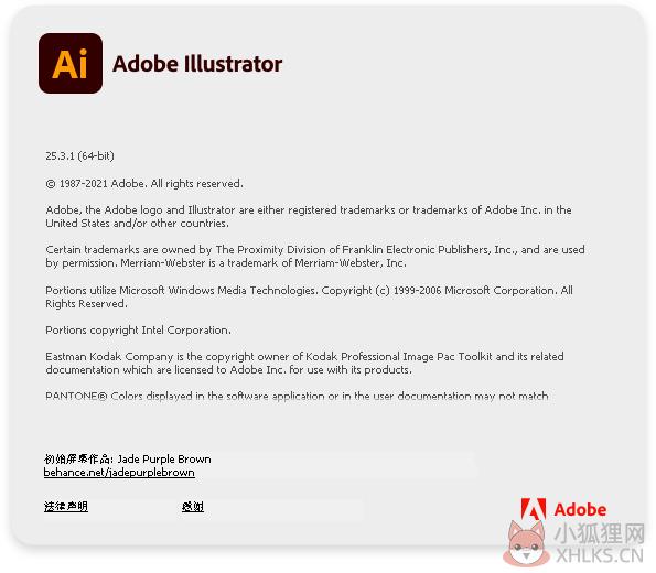Adobe Illustrator 2021 V25.3.1.390 中文直装版