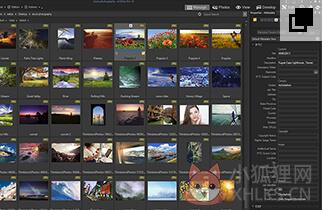 ACDSee Pro 10 V10.3.0.779 汉化免费版