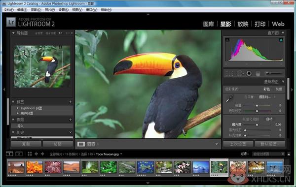 Adobe
