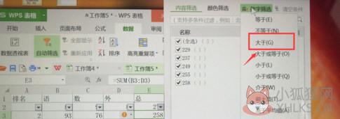 WPS
