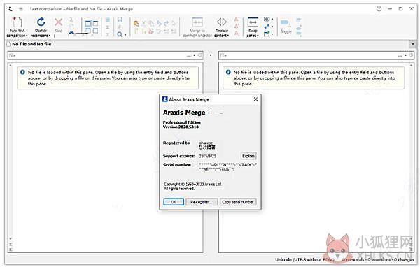 Araxis merge(文件比较工具) V2021.5498 免费版