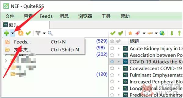 QuiteRSS(RSS订阅器)中文版