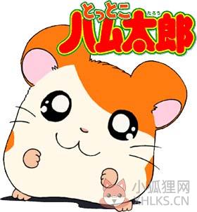 哈姆太郎表情包