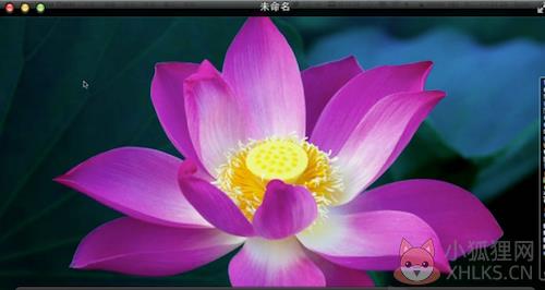 QuickTime(视频播放)