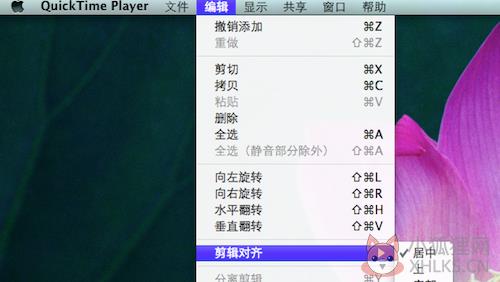 QuickTime(视频播放)