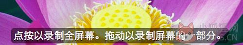QuickTime(视频播放)