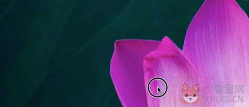 QuickTime(视频播放)